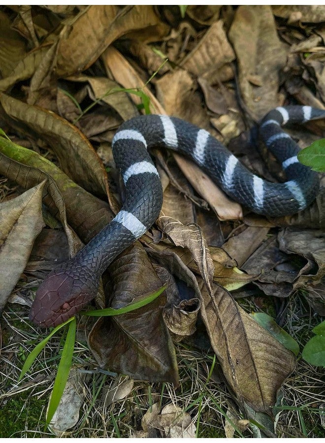 SUPER TOY Snake Toy for Kids Realistic Rubber Snake Prank Toy Fake Snake for Fun Scary Toy Snake for Outdoor Play for Parties and Decorations - Image 3