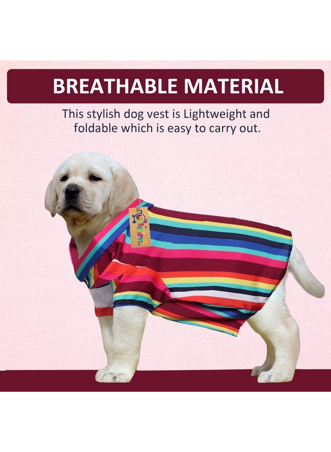 Western Era Super Soft Trendy Printed Shirt, Ultra Comfort Dog Apparel, Cotton Printed Breathable Basic Vest Dog Shirt, Lightweight Thin Shirt For Your Furies (Medium - 16 Inch)(Colorful Stripe Print) - Image 2