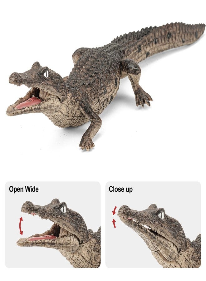 THINKBAY 10PCS Crocodile Toys, Realistic Alligator Animal Toys for Kids, Include White Caiman, Crocodile, Alligator Figurines Cake Toppers Birthday Gift Party Favors for Boy - Image 4