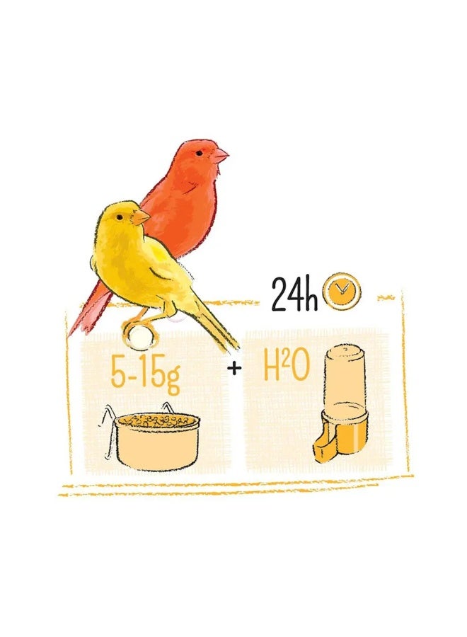 Witte Molen ويت مولن بيور كناري وزن: 2 كجم - Image 3