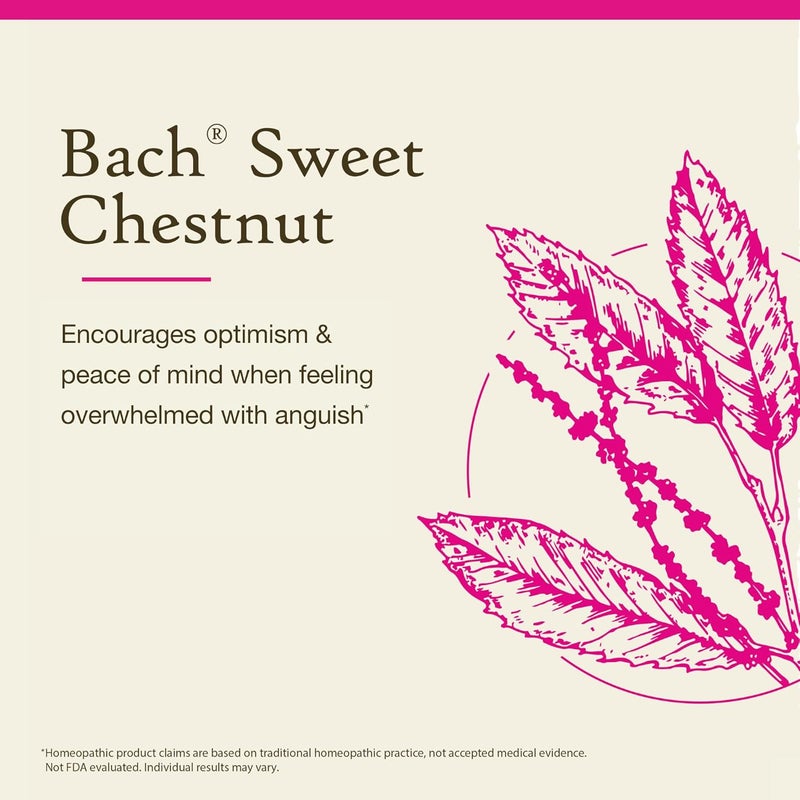 Bach Flower Essences Sweet Chestnut Be Optimistic 20 mL Homeopathic Remedy - Image 3