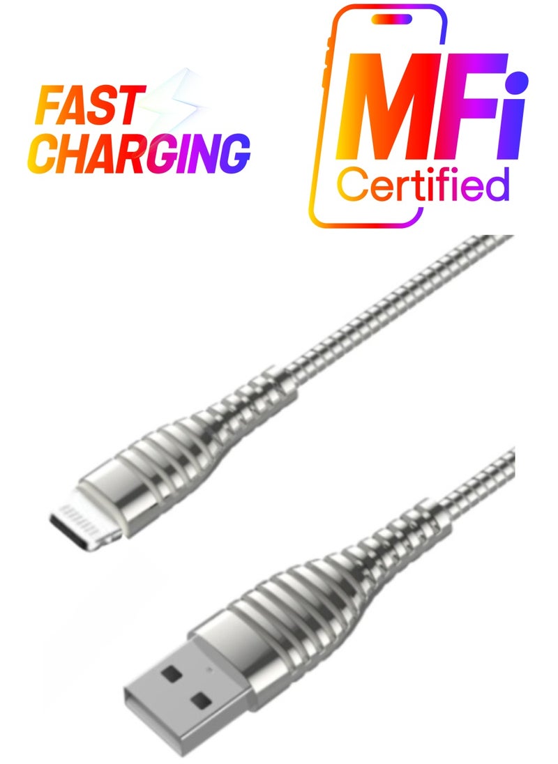 Silver Lightning iPhone USB Charging and Data Transfer Cable - Model BC012 by Bastec"
