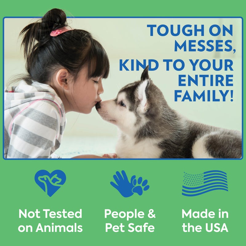 Out! PetCare Disposable Dog Diapers Male, Puppy Belly Band, Potty Training, Doggie Diapers, Belly Bands for Male Dogs, Puppy Training, Incontinence, (XS/S, 32ct) - Image 5