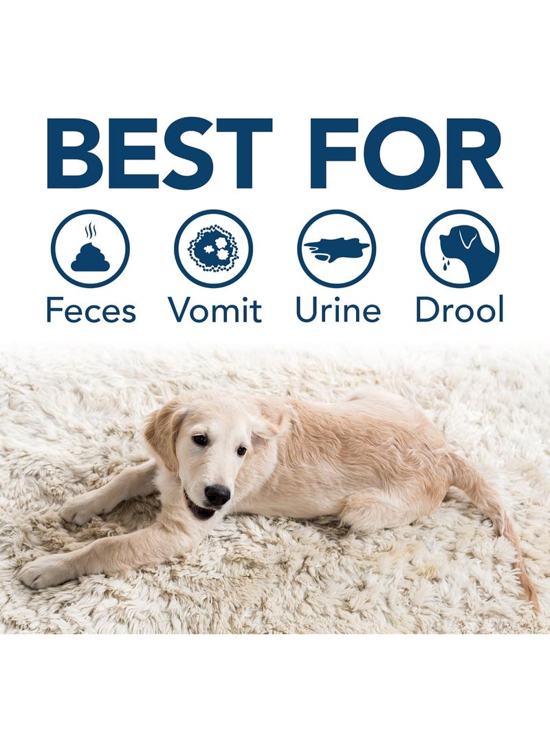 Simple Solution Stain u0026 Odor Eliminator for Pets, Carpet Deodorizer, Enzyme Pet Odor Eliminator for Home, Stain Remover for Cat u0026 Dog Pee, Urine Destroyer, Carpet Cleaner Spray, Gallon - Image 2