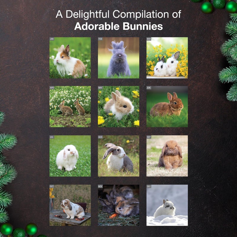 MICASA PRESS Bunnies 2026 Wall Calendar 12 Month | 12â€ x 24â€ Open | Thick & Sturdy Paper | Holiday Gift | Cute Rabbit Animal Kids Calendar 2026 - Image 3
