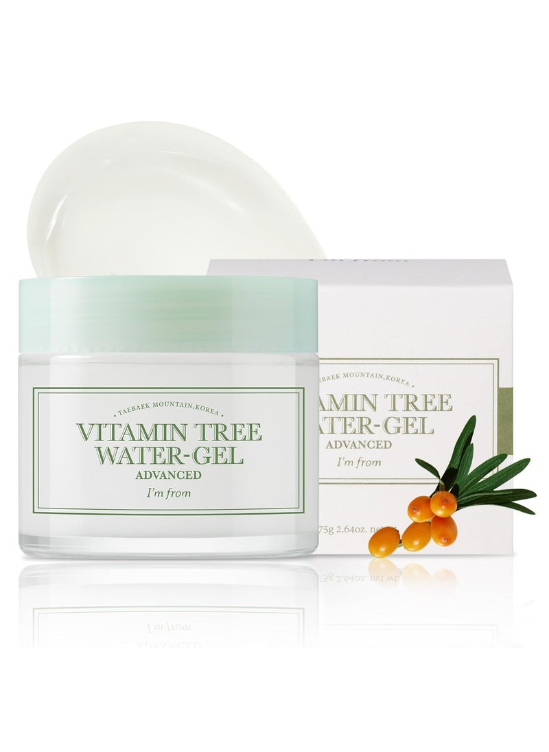 I'M FROM I'm from Vitamin Tree Water Gel, 75g, Korean moisturizer, Niacinamide, Panthenol, Vitamin C, hydrating, soothing  - Image 1