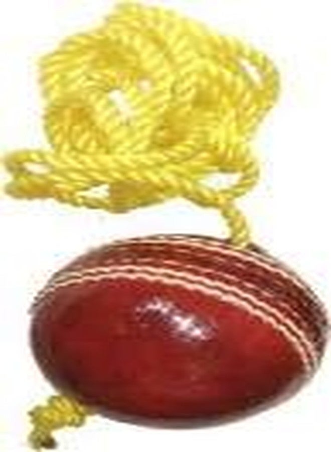 Zhoosh Leather Cricket Ball, Size Standard (Red)