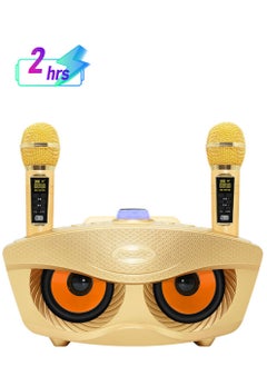 Wireless Portable Bluetooth 2X Microphone DJ Home Karaoke Speaker System Machine