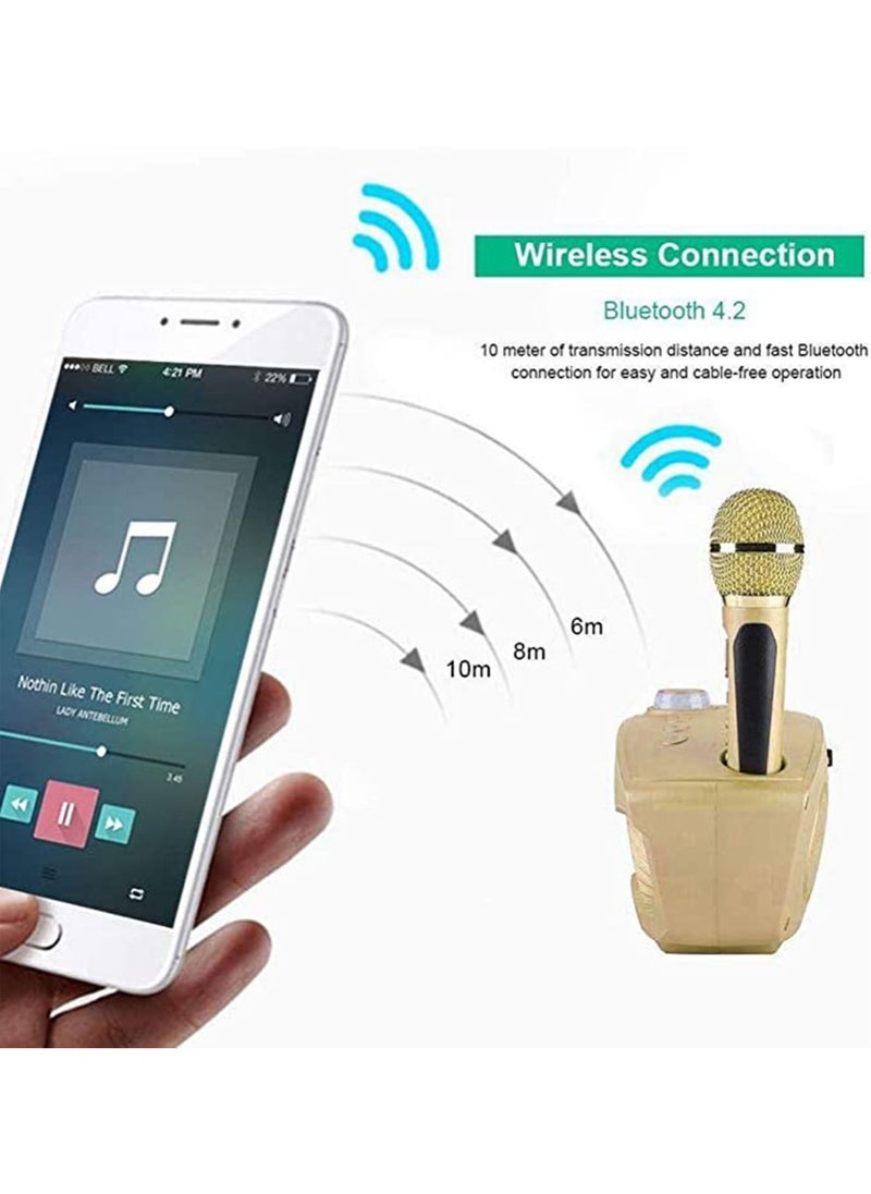 SDRD - Wireless Portable Bluetooth 2X Microphone DJ Home Karaoke Speaker System Machine - Image 1