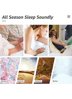 ZCM-HAPPY Luxurious All Season Double Brushed Bedspread Collection Ultra Soft Comfort and Solid Style - Premium Bedding Comforter Perfect for Hot Sleepers (180x220cm)  - Image 3