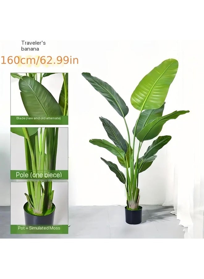 Decorhills DECORHILLS FRAMES & DECOR Artificial Bird of Paradise (Strelitzia Nicolai) for Living Room, Bedroom, Balcony, Garden, Office, Height 160cm  - Image 4