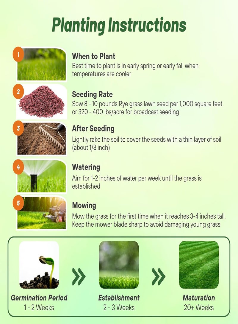 GGOOT Fireball & Hattrick Rye Grass Seed Blend - 10 gs. Wear Tolerant, Fine Leaf Texture Perennial Rye Grass Seeds for Lawn, Sports Turf & More, OptiGrowth Coated for Better Establishment - Image 4