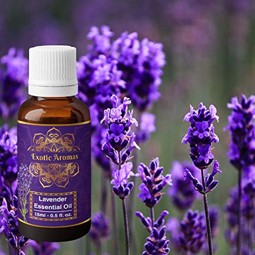 Exotic Aromas Lavender Essential Oil for Aroma Therapy, Stress Relief, Hair, Skin (15Ml + 15Ml) Pack of 2 - Image 2