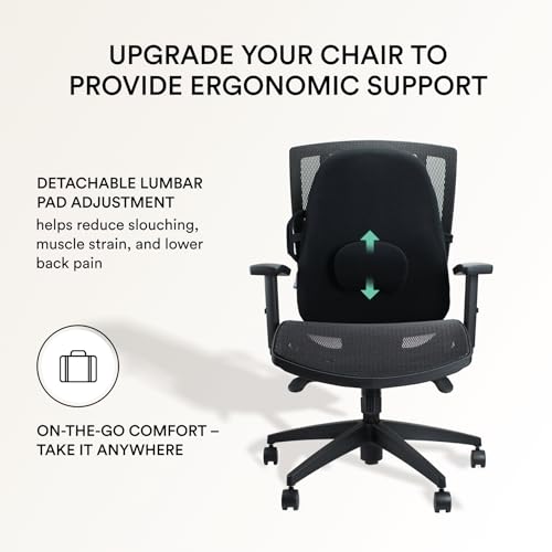 ObusForme Lowback Backrest Support – Lower Back Padded Seat Cushion and Lumbar Support Pillow, Portable Posture Support with Soft and Durable Foam - Image 3