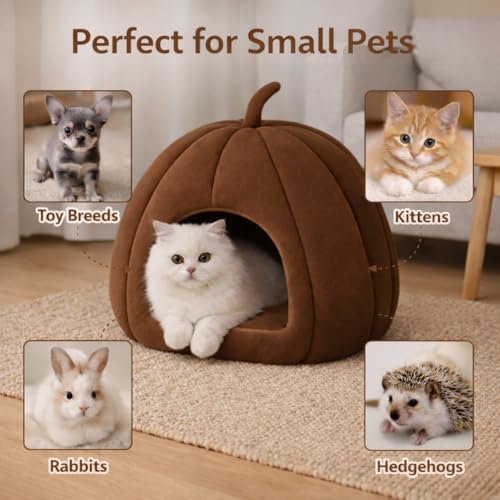 Zexsazone Summer Cat House, Portable Cat Bed with Removable Cushion, 2-in-1 Washable Cozy Puppy Bed Hut Cat Cave, Foldable Warm for Pets Puppy Kitten Rabbit (Brown, Shape - Pumpkin) - Image 3