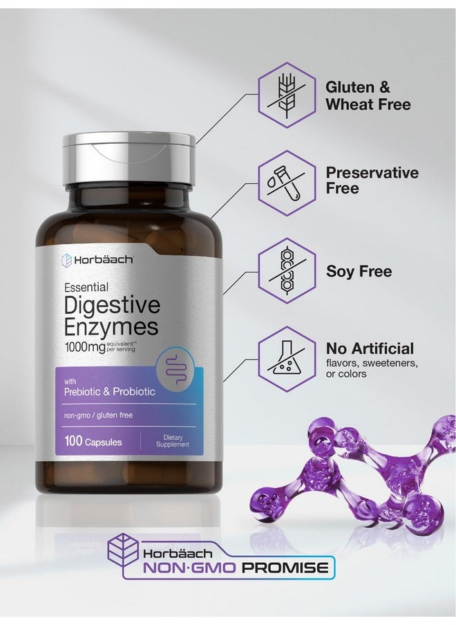 Horbaach Horbäach Essential Digestive Enzymes | 100 Capsules | Enzyme Blend for Men & Women | Non-GMO & Gluten Free Supplement  - Image 5