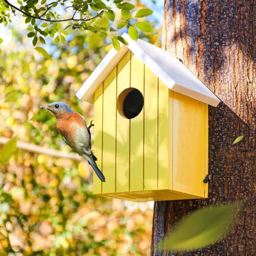 BIRDSHALA Wooden Large Bird House for Sparrow, Budgies, Bulbul, Wild Birds & Pet Birds - Colorful Garden Decorative (Yellow) - Image 3