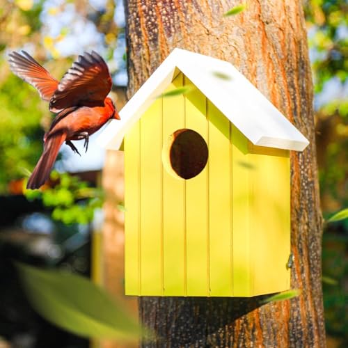 BIRDSHALA Wooden Large Bird House for Sparrow, Budgies, Bulbul, Wild Birds & Pet Birds - Colorful Garden Decorative (Yellow) - Image 5