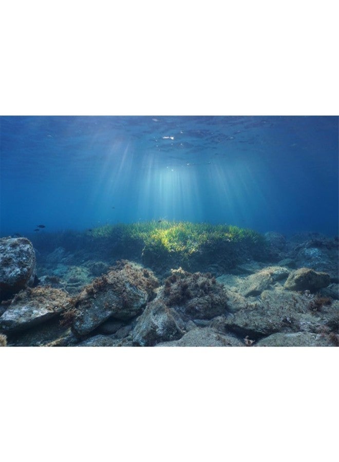 AWERT Ocean Floor Fish Tank Background Underwater Stone Aquarium Background 36x18 inches Vinyl - Image 1