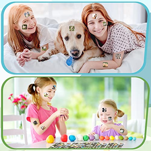 Seajan 600 Pcs Farm Animal Stickers for Kids Farm Animals Photos Stickers Realistic Animal Stickers Cow Pig Duck Rabbits Chick Stickers for Classroom Barnyard Friends Theme Party Favor - Image 4