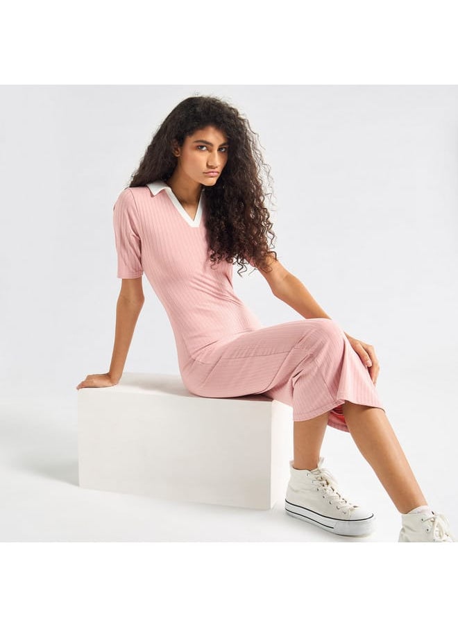 Splash FAV Striped Bodycon Dress with Collar and Short Sleeves  - Image 2