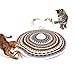 Potaroma Cat Toys Chargeable 3in1 Hide and Seek Automatic Interactive Fun Fluttering Butterfly Moving Feather Kitten Wand Indoor Kitty Exercise Kicker 228 Inch Cover for All Breeds - Image 3