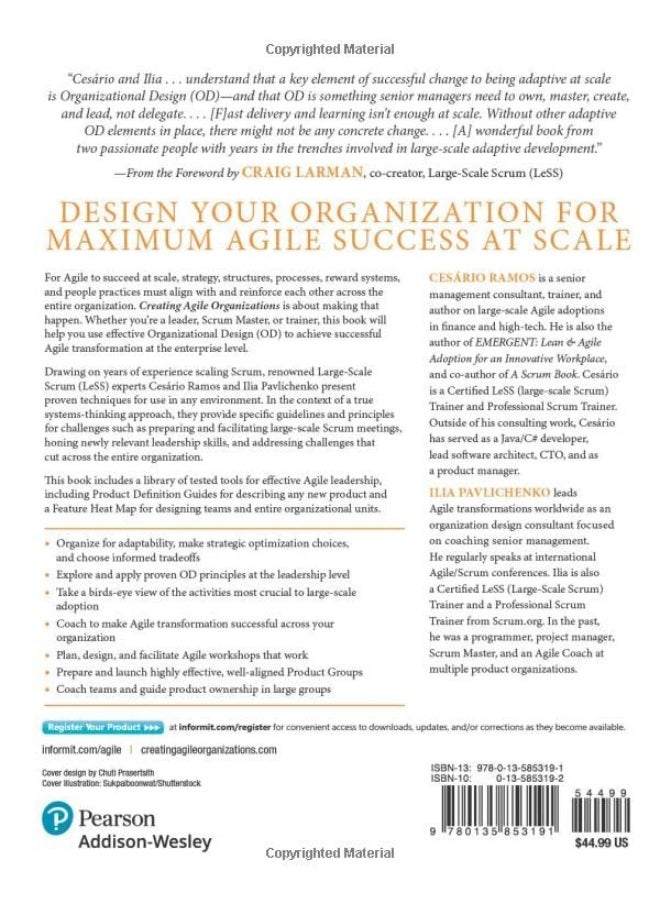 null - Creating Agile Organizations: A Systemic Approach - Image 1