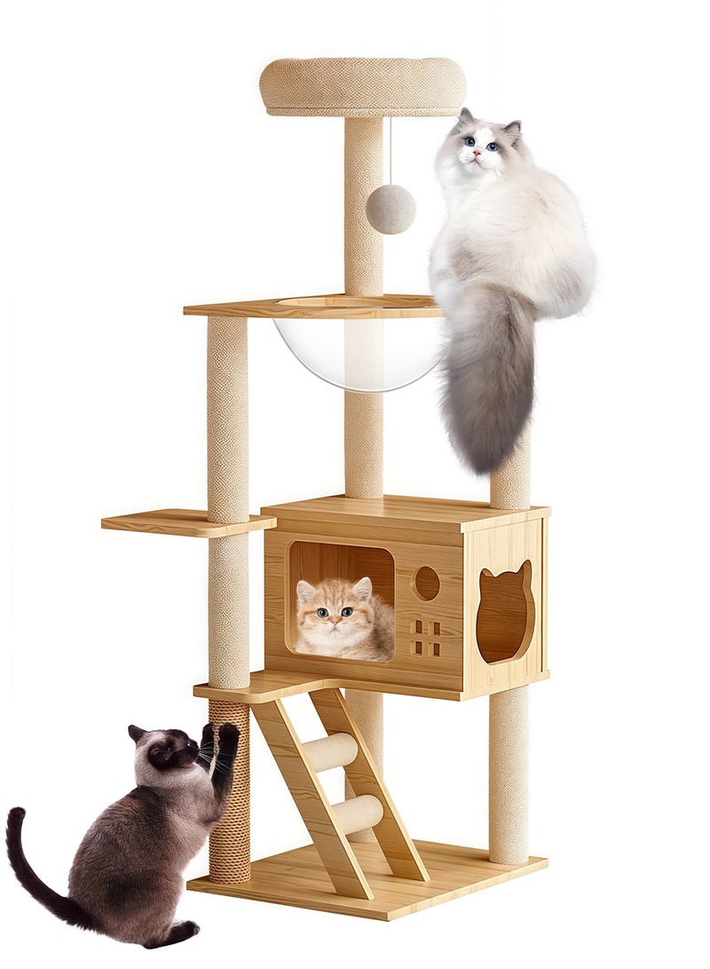 كيدل كبسولة مساحة كبيرة شجرة القطة منزل القطة تسلق الإطار - Image 1