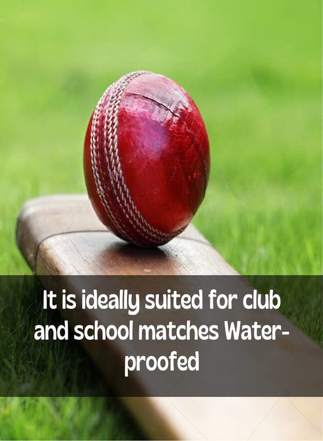 FRATELLI AVM Leather Cricket Ball for Tournament and Club Matches, Practice Leather Ball 5 ½ OZ Hand Sewn Ball for Boys & Girls (Pack of 1 - Red) - Image 3