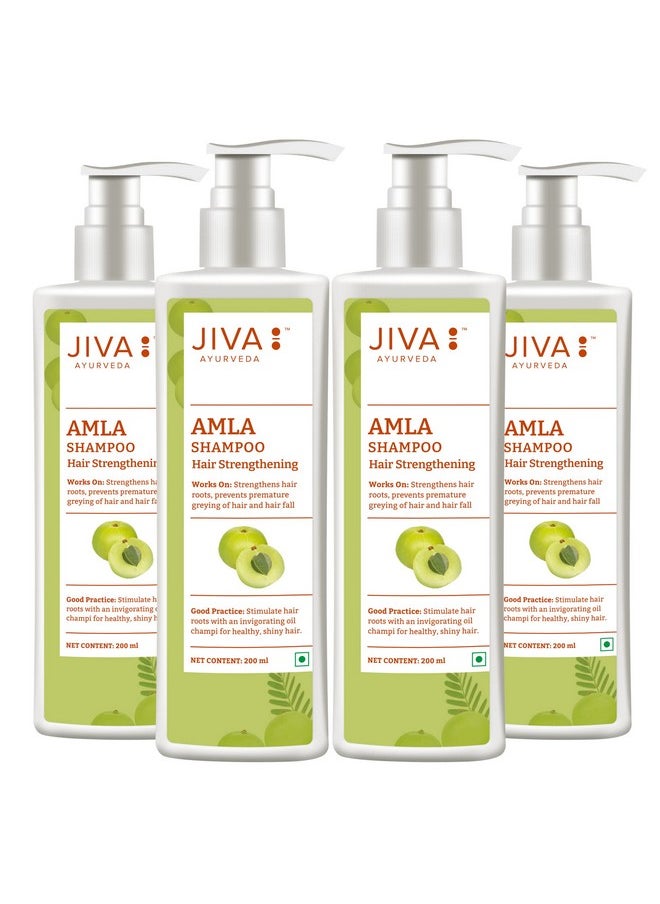 Amla 200Ml (Pack Of 4) Shampoo 100% Pure & Natural Helps To Prevent Dandruff Promotes Healthy Hair - pzsku/Z2006435268398C142D37Z/45/_/1720078954/47d732ad-62d5-4875-a60d-2219455f5d85