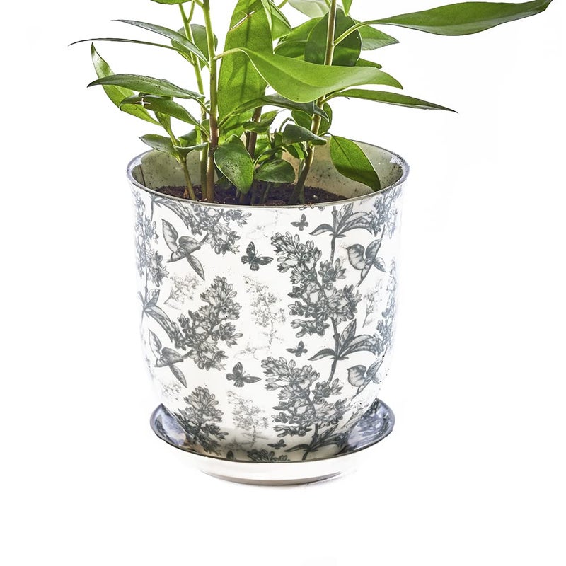CHIVE â€˜Liberteâ€™ Ceramic Succulent Pots â€” 4.25â€ Cute Vintage Farmhouse Style Planters for Indoor Plants â€” Beautiful Home & Kitchen Decor â€” Grey Forest - Image 1