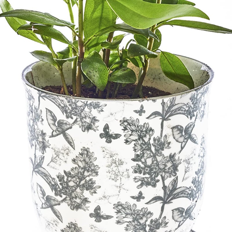 CHIVE â€˜Liberteâ€™ Ceramic Succulent Pots â€” 4.25â€ Cute Vintage Farmhouse Style Planters for Indoor Plants â€” Beautiful Home & Kitchen Decor â€” Grey Forest - Image 2