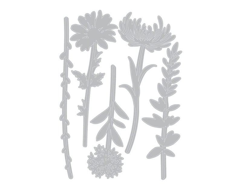 Sizzix Thinlits Die Set , Wildflower Stems #1 by Tim Holtz, 5 Pack, One Size, Multicolor 5 Piece - Image 4