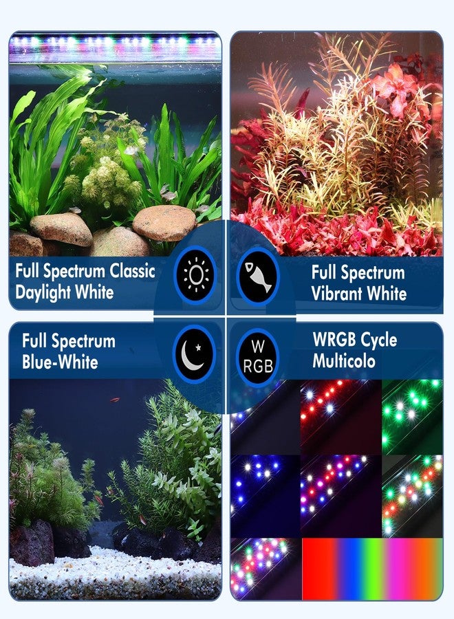 hygger Auto On Off Aquarium LED Light, 4 Mode Lighting Full Spectrum Fish Tank Light 24/7 Timer Colorful Fish/Sun/Nightlight/WRGB Cycle for Freshwater - Image 3