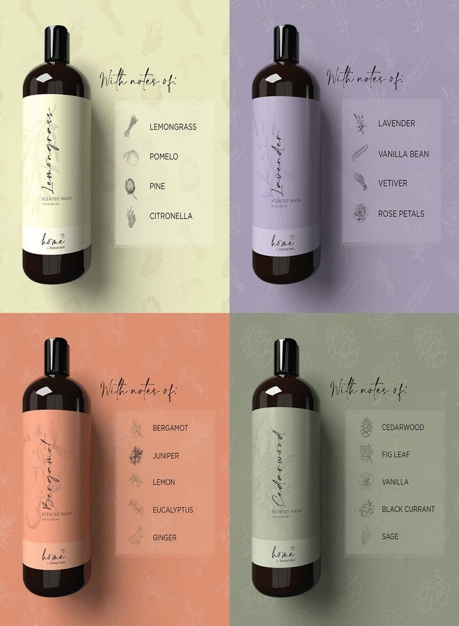 forever new Home by Forever New - Scented Liquid Laundry Detergent, Cedarwood, 16 Fl Oz - Perfect for Washing Towels, Bed Linens, Clothing, and More - Image 5