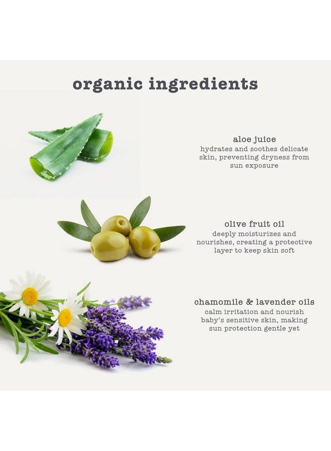 إربا فيفا واقي الشمس العضوي للأطفال من إيربافيفا، 2.5 أونصة - آمن على الشعاب المرجانية، طبيعي، يحمي من الأشعة فوق البنفسجية الطويلة والمتوسطة، مقاوم للماء، غني بالزيوت العطرية - Image 1