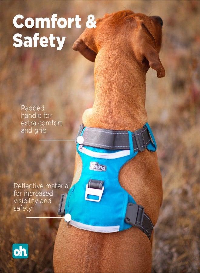 Outward Hound Boulder Adventure Adjustable Dog Harness with Pockets, Turquoise, Medium - Image 4