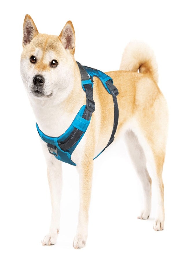 Outward Hound Boulder Adventure Adjustable Dog Harness with Pockets, Turquoise, Medium - Image 1
