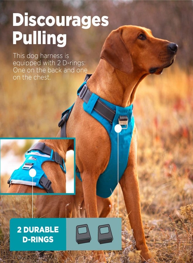 Outward Hound Boulder Adventure Adjustable Dog Harness with Pockets, Turquoise, Medium - Image 3