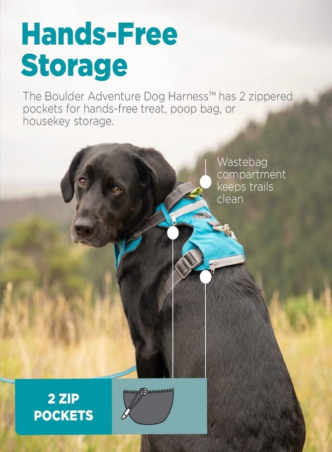 Outward Hound Boulder Adventure Adjustable Dog Harness with Pockets, Turquoise, Medium - Image 5
