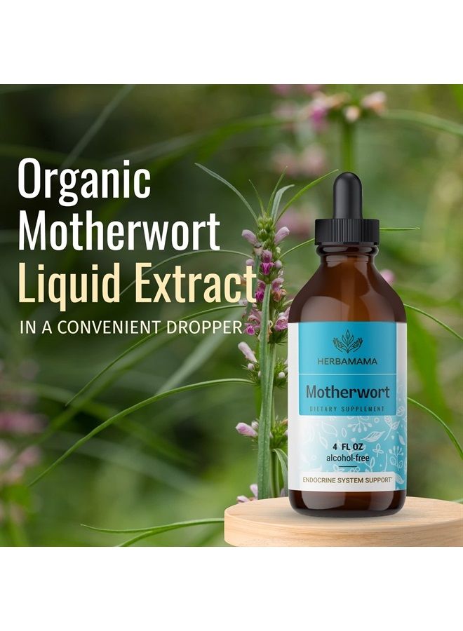 HERBAMAMA Motherwort Tincture - Organic Motherwort Herb Liquid Drops - Vegan Supplement - 4 fl oz - Image 2