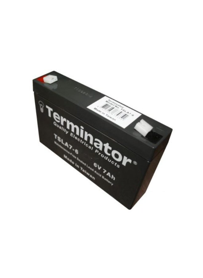 Terminator Rechargeable sealed lead acid batteries 6V 7Ah - Image 3