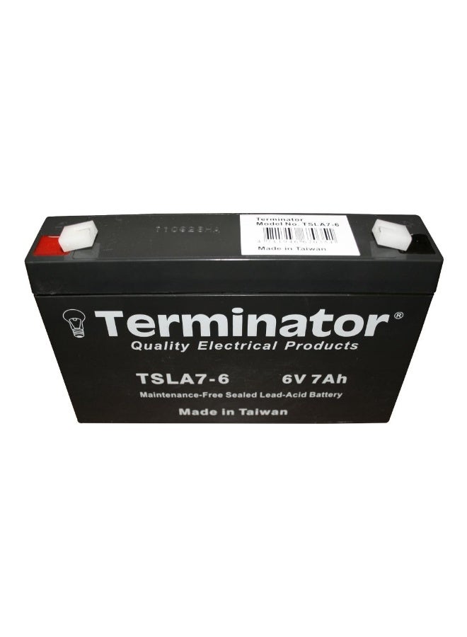 Terminator Rechargeable sealed lead acid batteries 6V 7Ah - Image 2