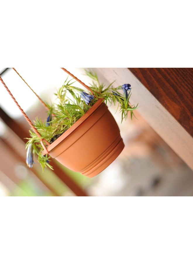 Prosperplast Agro Hanging Flower Pot Terracotta 24 x 15 cm DAGW4-R624 - Image 3