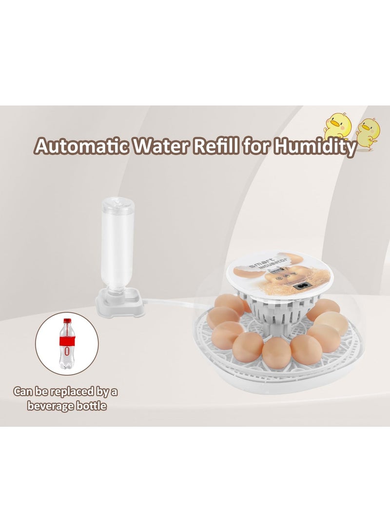 Generic 12 Egg Incubator, Smart Egg Incubator with Automatic Egg Turning, Automatic Humidity Refill and Automatic Temperature Control, Incubator with Temperature Display for Chicken/Duck/Quail/Goose  - Image 3