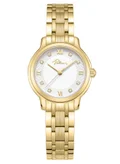 بوليس Yellow Gold