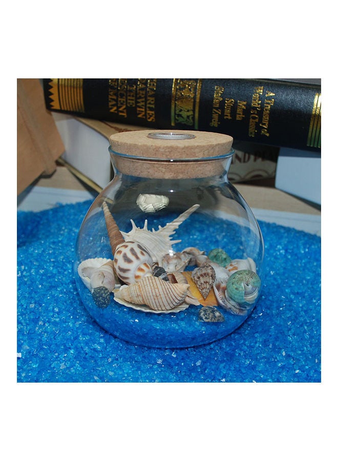 NIBEMINENT Varied Size Seashells Mixed for Beach Theme Multicolour 20.00 x 5.00 15.00cm - Image 3