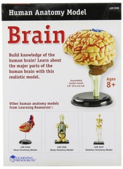 Learning Resources نموذج الدماغ  - Image 2