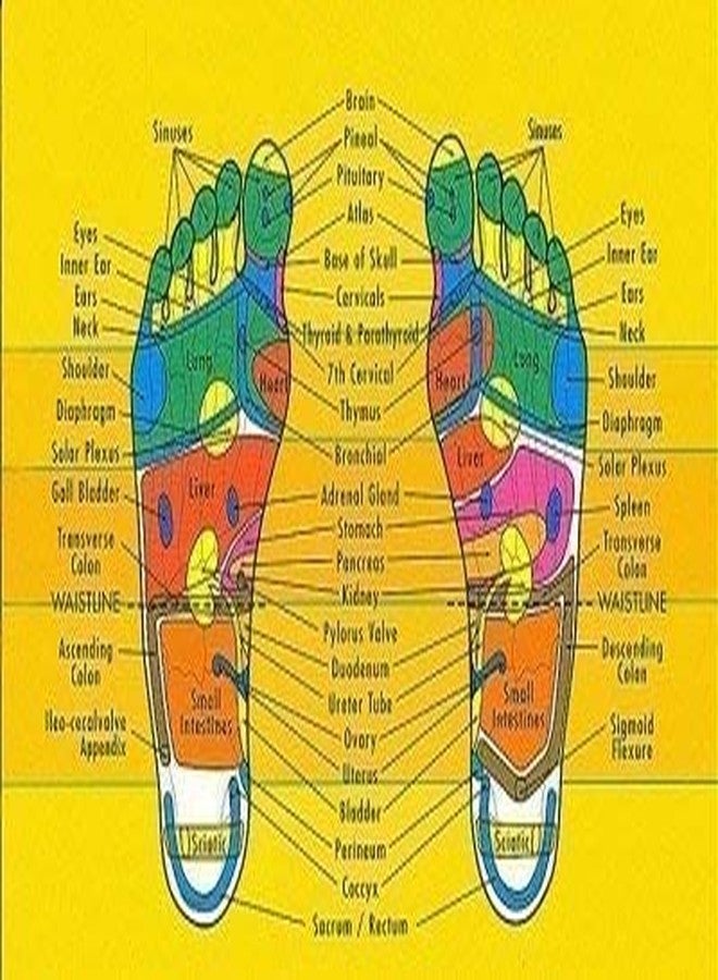 Acupunctoreum acupressure Reflexology Magnetic Pyramidal Therapy Energy Pain Relief Power Foot Health Deluxe Mats - Image 2