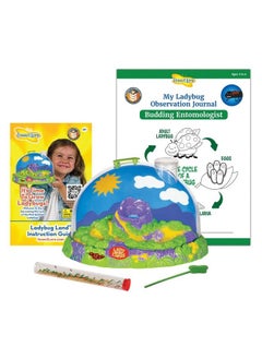 Live Ladybug Growing Kit Toy Observation Skills